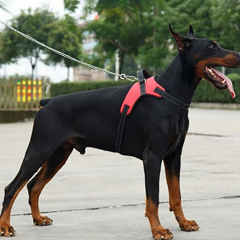 Adjustable Dog Harness and Reflective Leash Set