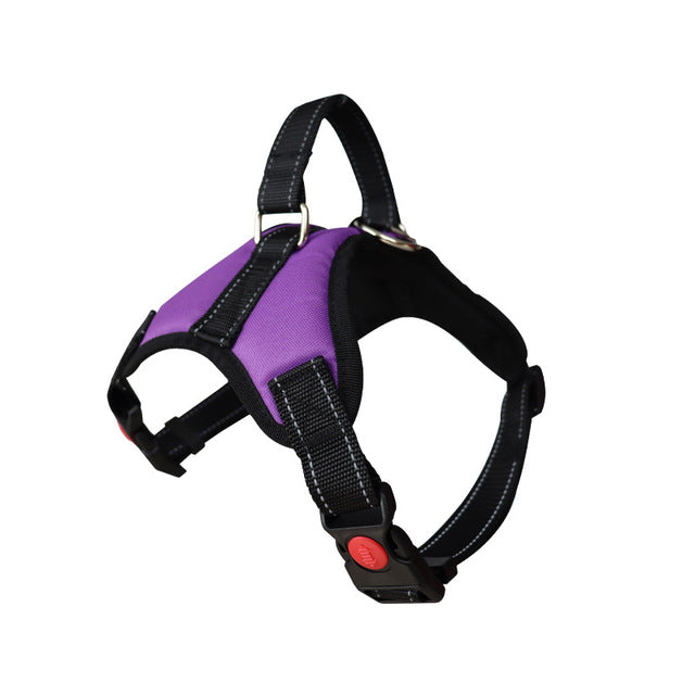 Adjustable Dog Harness and Reflective Leash Set